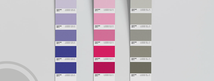 El color en el packaging: el factor que influye en la decisión de compra en cuestión de segundos
